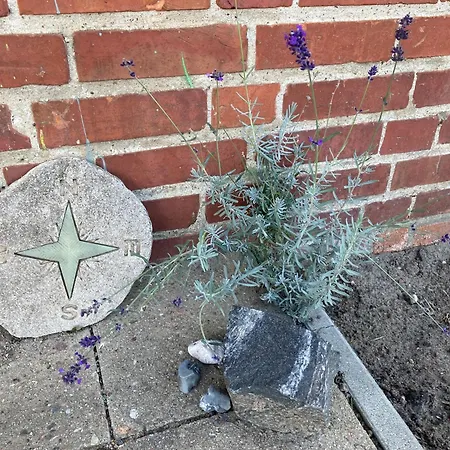 Drehbruecke דירה מאלצ'ו